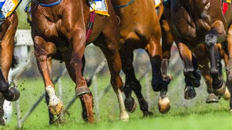 horse racing on directv|fanduel tv on directv.